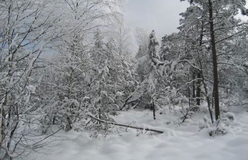 Apartment Weber by Interhome - Foto 11