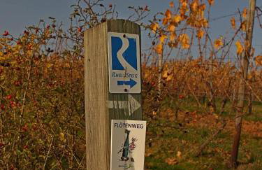 Auszeit Rheingauer Rosengasse - Photo 39