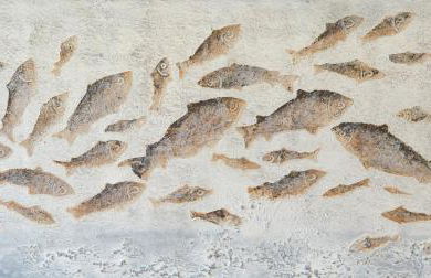 Ferienwohnungen Familie Jensen - Foto 23