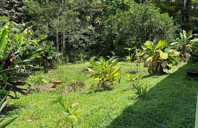 Selvática del Toro - Foto 53