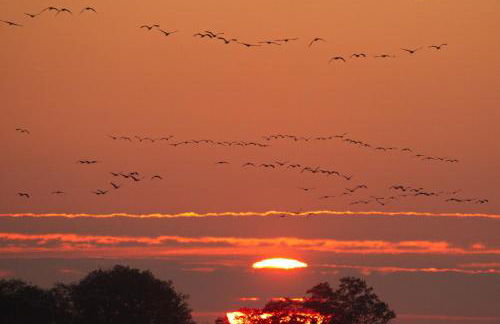 Gemütliche Ferienwohnung in Körba am See - Foto 14