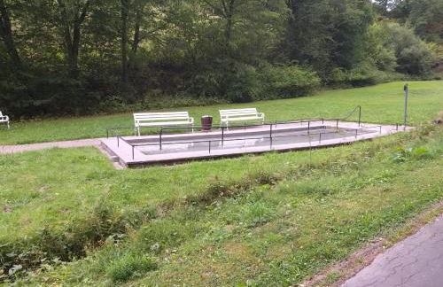 Ferienwohnungen Luge - Winterberg - Foto 65