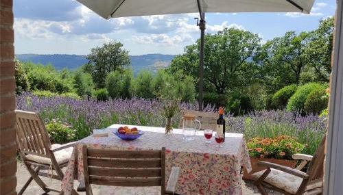 Podere Sant'Angelo - Foto 2, Garden view