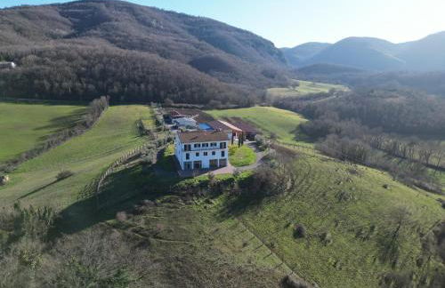 Azienda Agricola Sebastiani - Foto 9