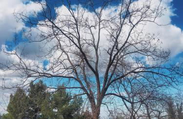 Le Briganti - Foto 12