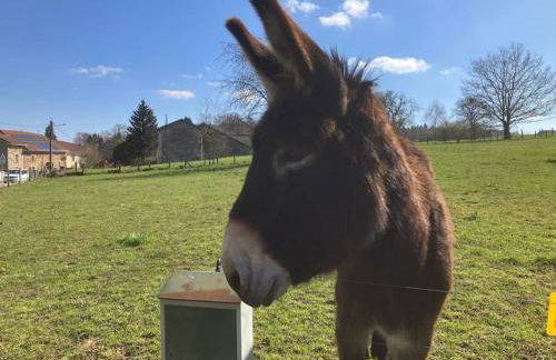 Gite l'Échapée Belle dans les Vosges - Foto 29