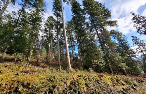 Ferienhaus du Bourguignon, Lorraine - Foto 8