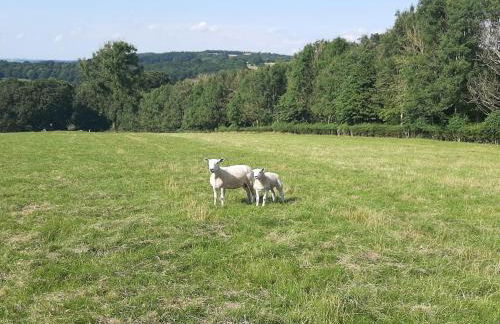 Daisy Cottage - Foto 33