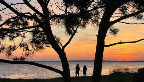 Reethaus Rosengarten Rügen gegenüber Hiddensee - Whg Strauchrose im DG - Foto 5