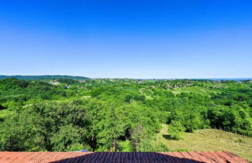 Gorgeous Home In Vrtlinovec With Sauna - Foto 23