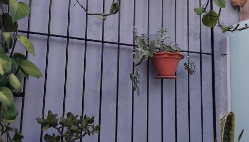 Rosa dos ventos suíte 1 - Foto 2