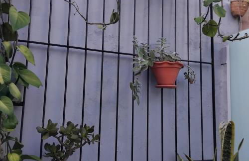 Rosa dos ventos suíte 1 - Foto 2