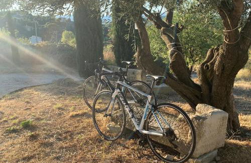 La Bergerie des Pottiers. Mas rénové climatisation Piscine - Foto 17