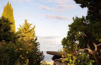 Cipressini - Foto 59