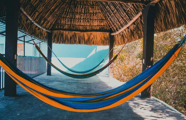 Pacific Paradise - Photo 2