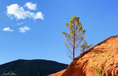 La Cerisaie, maison spacieuse en Lubéron - Foto 32