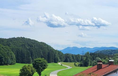 Ferienwohnung in Niederhasling - Foto 21