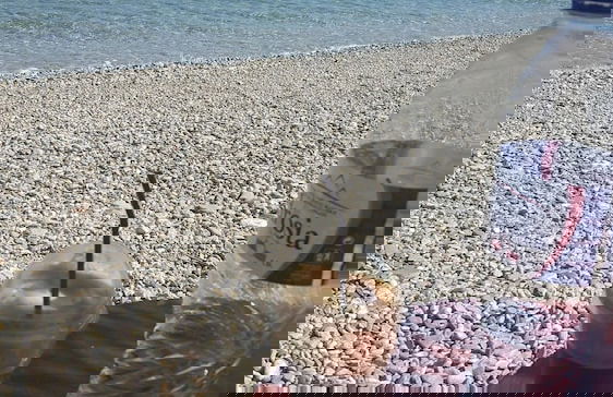 Seaview - Selfcatering Apartment - Helen No 1 - Foto 19