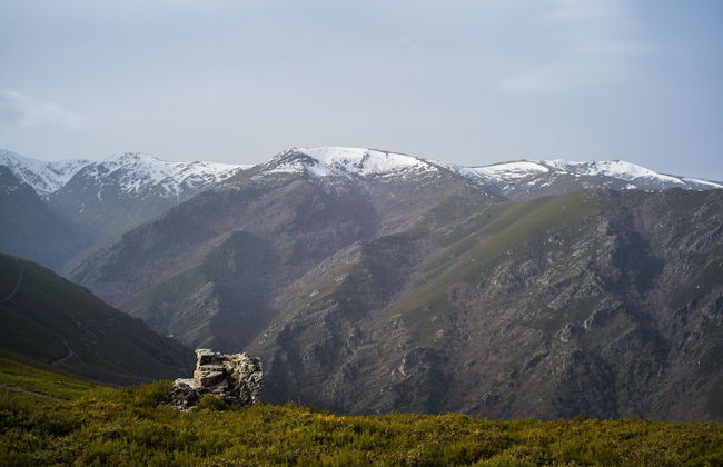 Eco dos Teixos - Foto 13