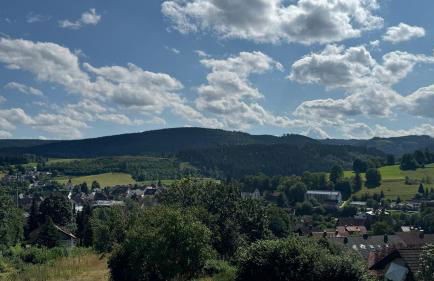 Urlaub im Schwarzwald - Photo 1