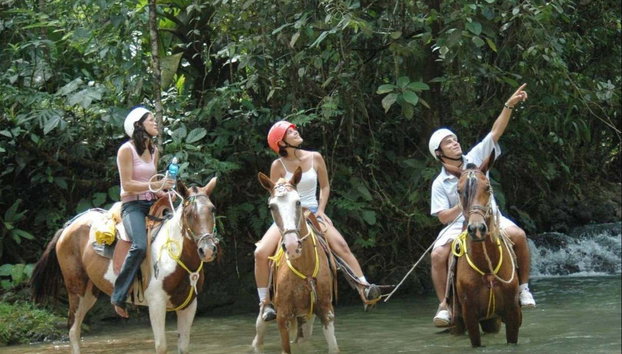 Balade à cheval jusqu'à la cascade de La Fortuna - Photo 2, Admirez la jungle