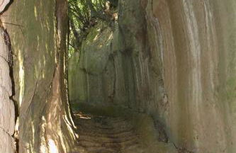 Casa del Sorriso - Foto 2