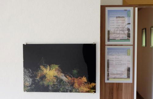 SchwarzWild - Ferienwohnung und Ferienzimmer - Foto 11