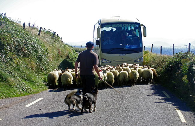 Dingle Bay View - Photo 8