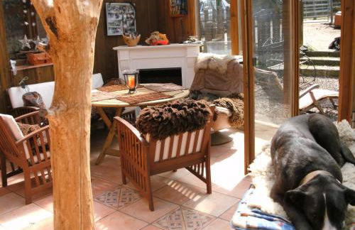 Funny-Farm - Foto 33