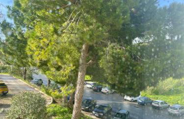 Bayview Apartment 213 - Photo 26