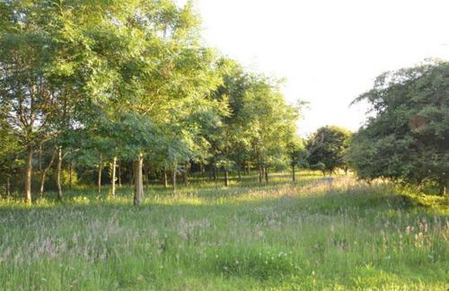 Tremerth Cottage Mousehole lovely country views - Photo 14