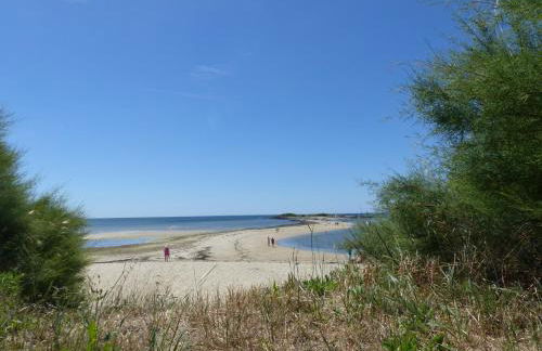 MOUETTES 3 - Balcon, Vue Mer, Men Du - T356 - Foto 22