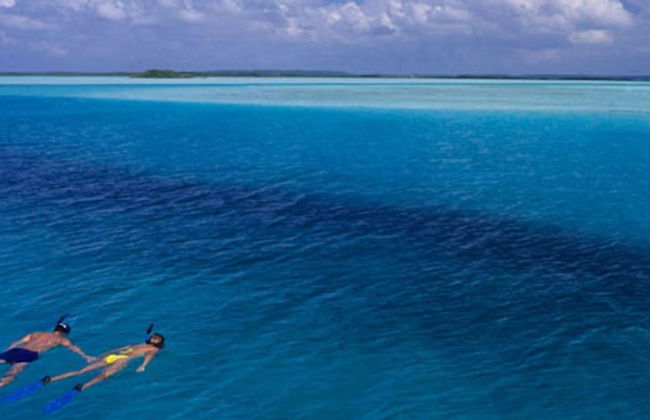 Taveuni Palms - Photo 74