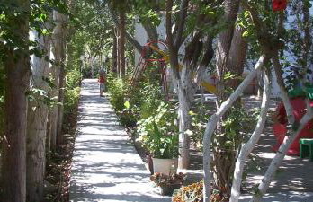 Villa Anna - Foto 14