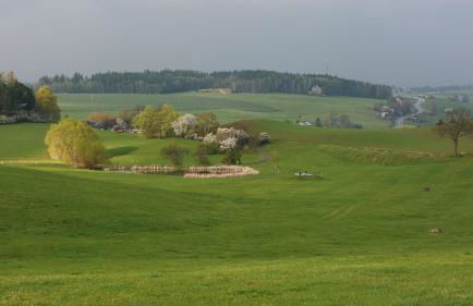 Ferienhof Berghof - Foto 82