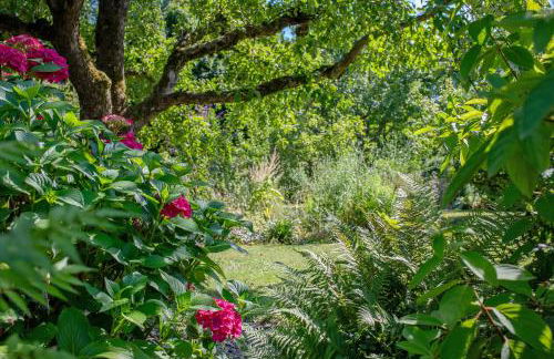 Ferienwohnung Schwalbennest - Foto 30