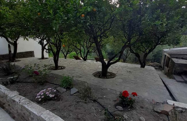 Diamoni Afroditi - Photo 24