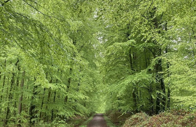 Honer Country House - Foto 26