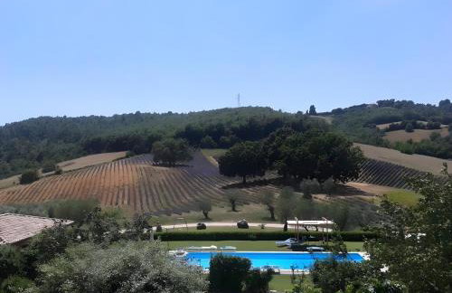 Il Poggio di Teo - Foto 75