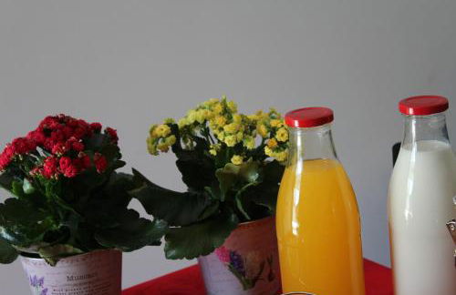 Casa do Rio - Penacova - Foto 44