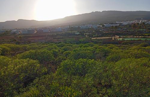 CASA GRANDE FINCA EL CALABRES - Foto 73