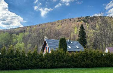 Mountain Szczyrk ApArt Bratków 10A - Foto 50