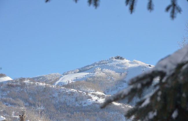 Cascades at Steamboat - Foto 28