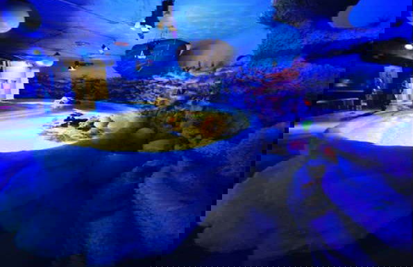 Entrada al Acuario Inbursa + Transporte - Foto 6