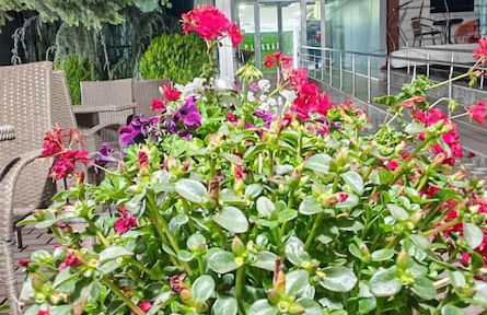 Vila Alessia - Foto 46