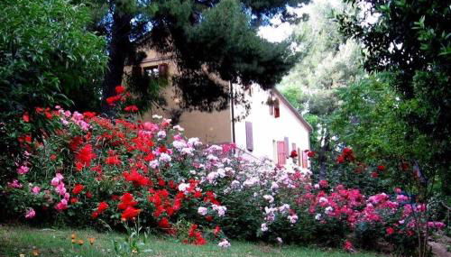 Agriturismo La Casa della Lavanda - Il Casale - Foto 5