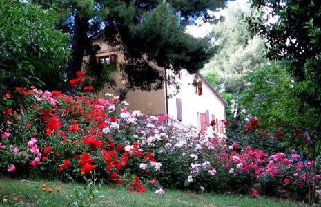 Agriturismo La Casa della Lavanda - Il Casale - Foto 5