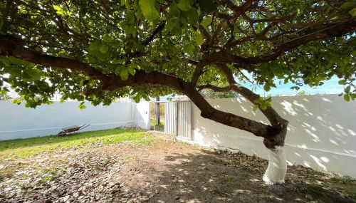 Casa em Praia Bela - Foto 4