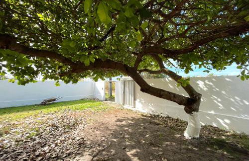 Casa em Praia Bela - Foto 4