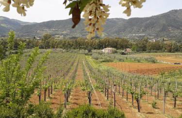 Sa Perda Arrubia - Foto 35